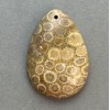 Přívěšek ze zkamenělého korálu 35×23 mm+