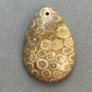 Přívěšek ze zkamenělého korálu 35×23 mm+
