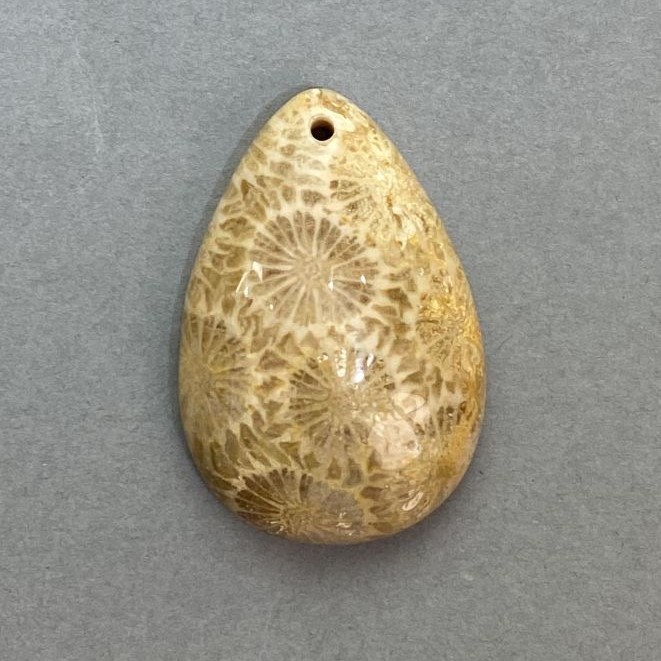 Přívěšek ze zkamenělého korálu 36×24 mm+