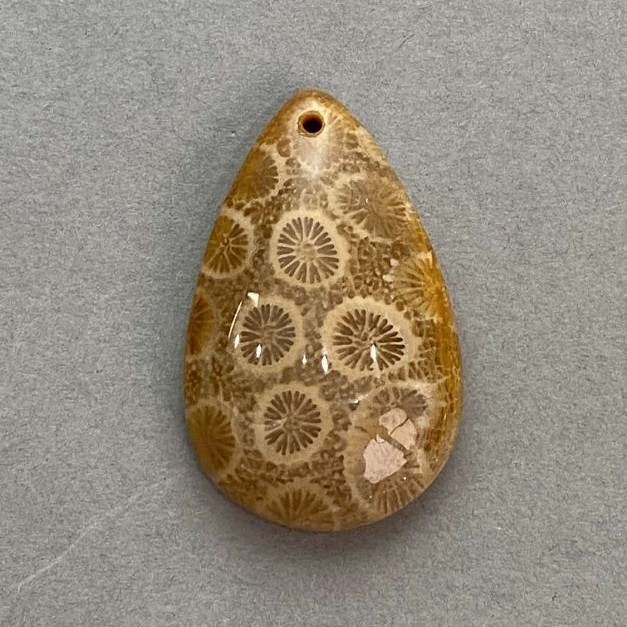 Přívěsek fosilního korálu 37×23 mm+
