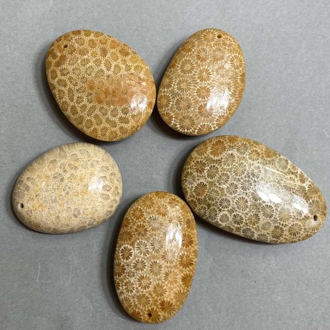 Přívěšek ze zkamenělého korálu 40–55 × 30–40 mm, různých velikostí