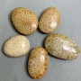 Přívěšek ze zkamenělého korálu 40–55 × 30–40 mm, různých velikostí
