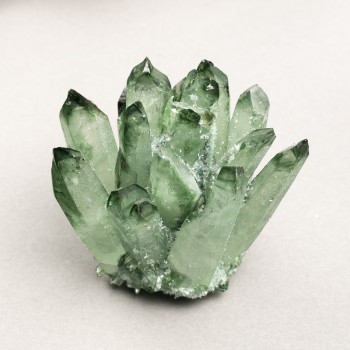 Suvenýrová drúza «Írský mech» – hmotnost od 450 g (za 100 g)