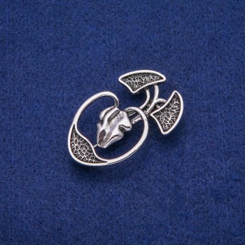 Brož Anatomie 28×45 mm, stříbrný kov