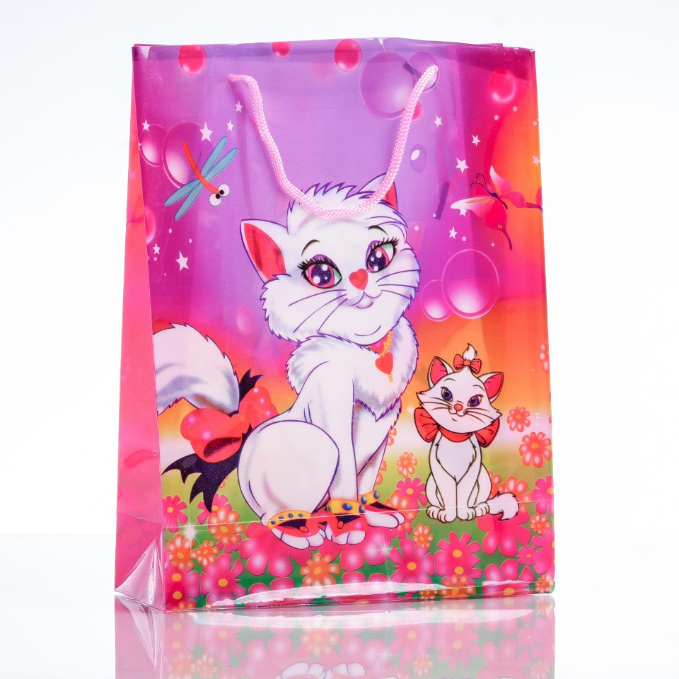 Dárková taška 24×18 cm (materiál PE)